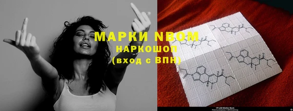 индика Киренск