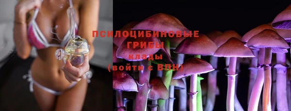 крисы Кинешма