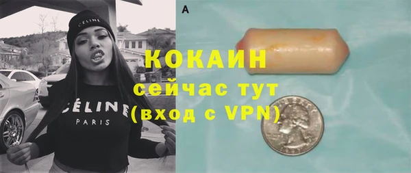 индика Киренск