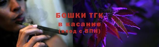 индика Киренск
