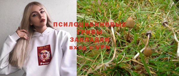 крисы Кинешма