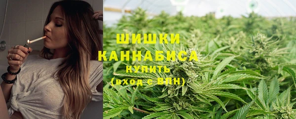 крисы Кинешма