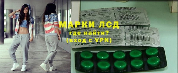 индика Киренск