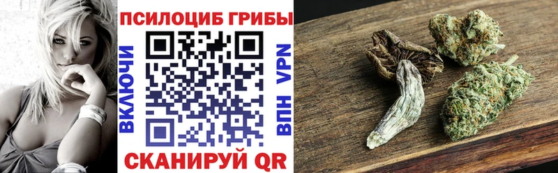 Купить  Весьегонск  Псилоцибиновые грибы Magic Shrooms 